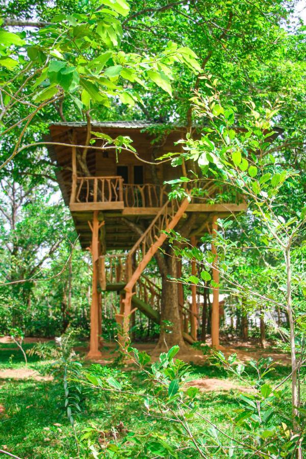 Lotus Eco Villa Sigiriya Exterior photo