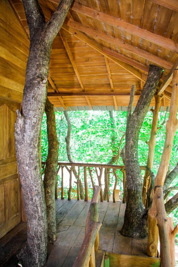 Lotus Eco Villa Sigiriya Exterior photo
