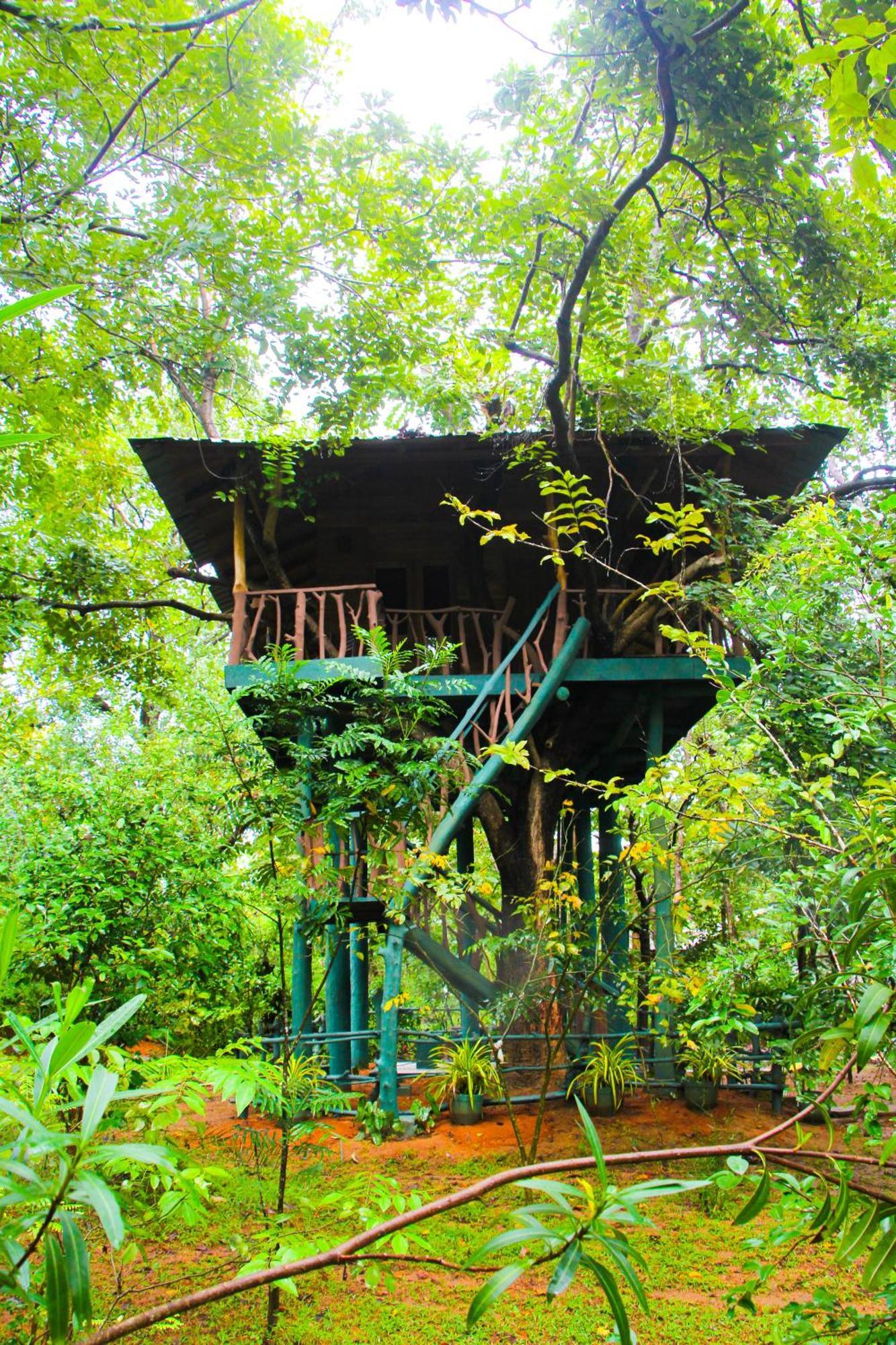 Lotus Eco Villa Sigiriya Exterior photo