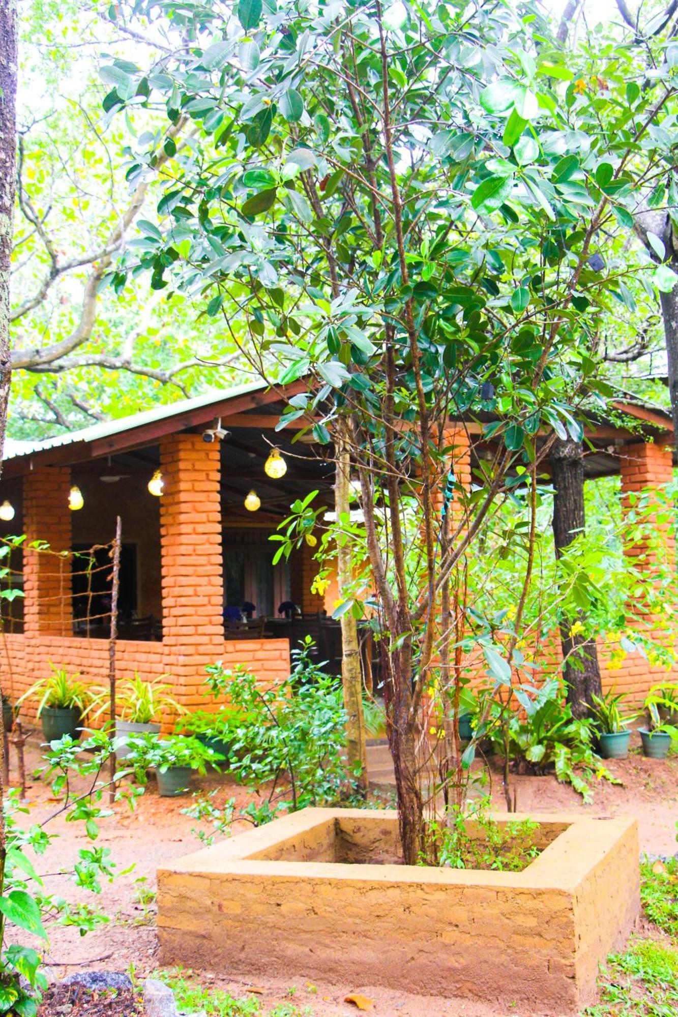 Lotus Eco Villa Sigiriya Exterior photo