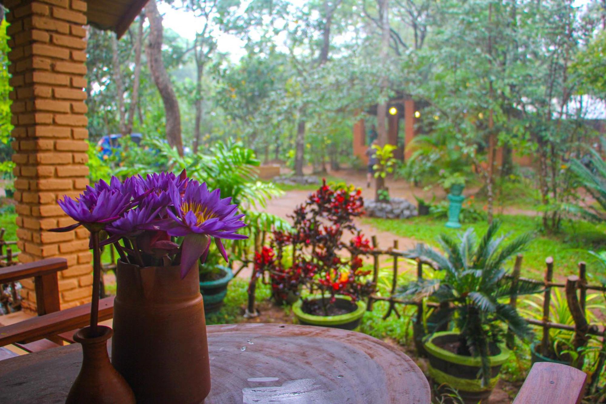 Lotus Eco Villa Sigiriya Exterior photo